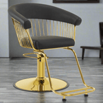 Brooks Salon Furnishing Classic Aura Salon Chair