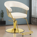 Brooks Salon Furnishing Classic Aura Salon Chair