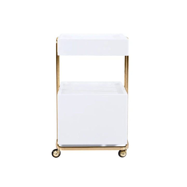 Beauty-Ace Beauty Salon Rolling Trolley With Double Storage FF-DPI-TRLY-OY006-WHT