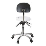 SilverFox Beautician and Salon Stool (1025B)