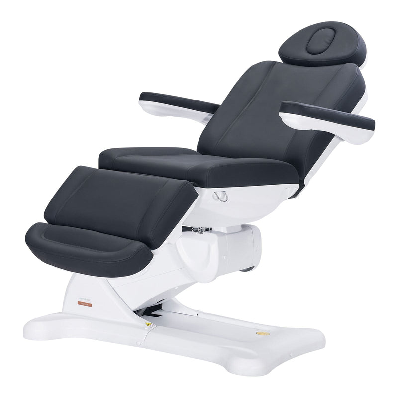 Dermalogic Remi Electric Spa Treatment Table / 4 motors