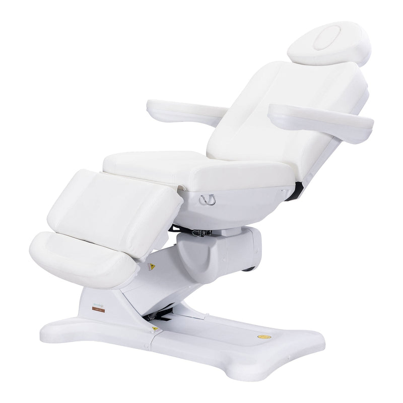 Dermalogic Remi Electric Spa Treatment Table / 4 motors