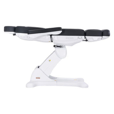 Dermalogic Remi II Electric Spa Treatment Table / 4 motors