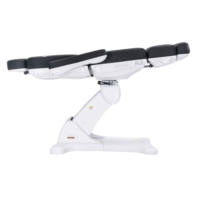 Dermalogic Remi II Electric Spa Treatment Table / 4 motors