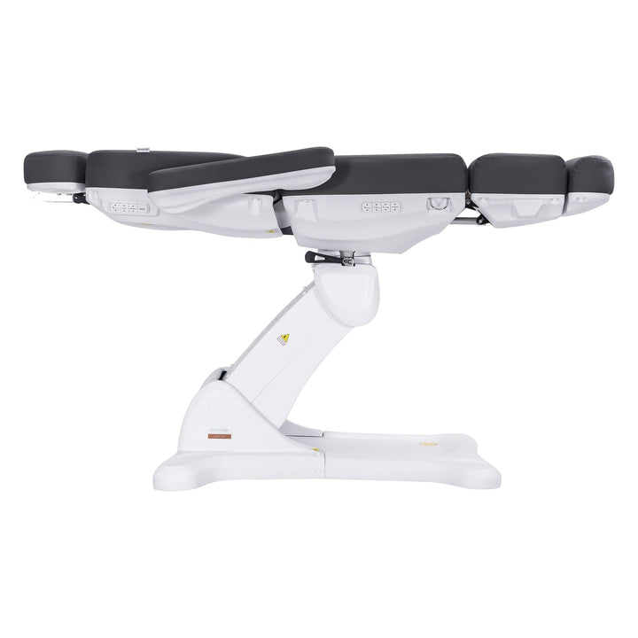 Dermalogic Remi II Electric Spa Treatment Table / 4 motors