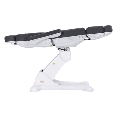 Dermalogic Remi II Electric Spa Treatment Table / 4 motors