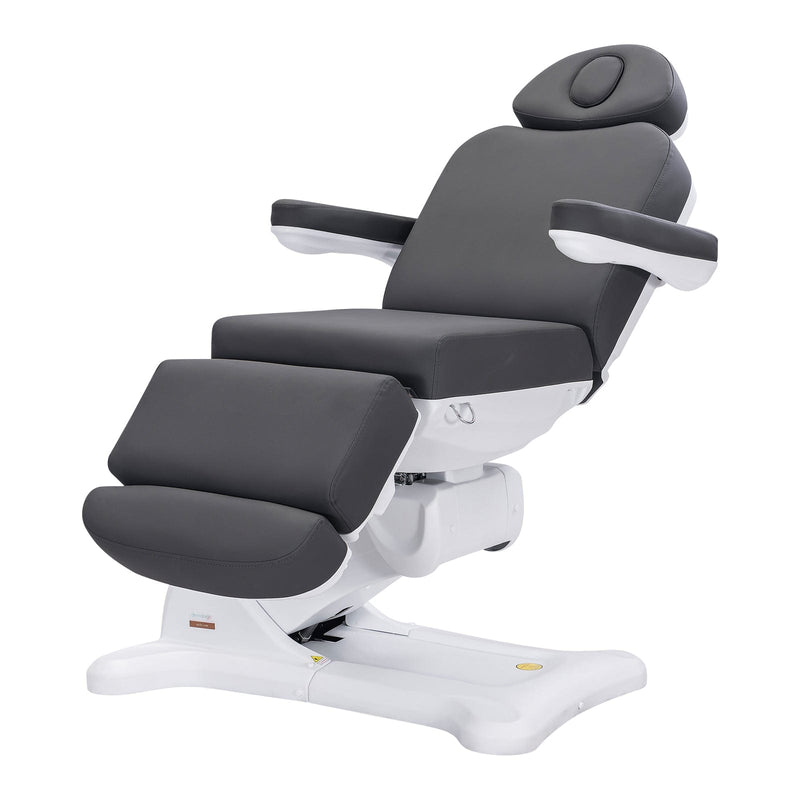 Dermalogic Remi II Electric Spa Treatment Table / 4 motors