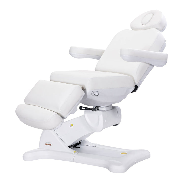 Dermalogic Remi II Electric Spa Treatment Table / 4 motors