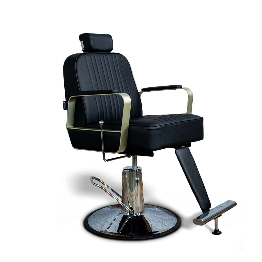 Berkeley Hudson All Purpose Salon Chair